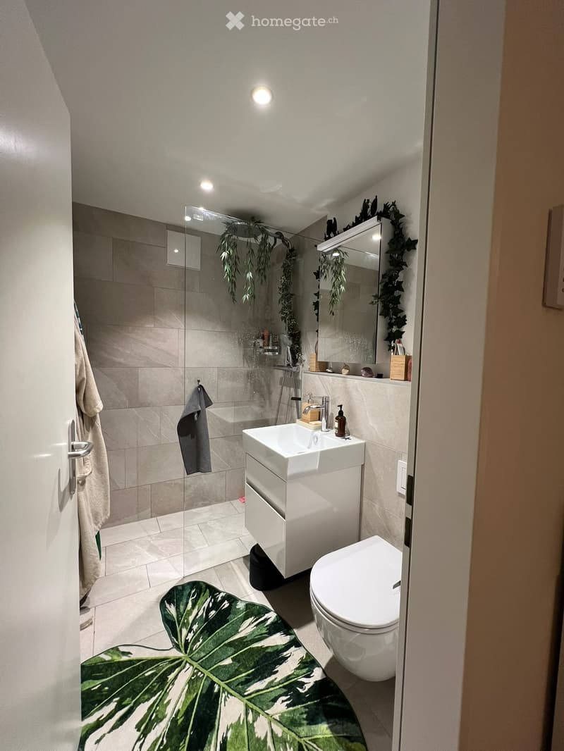 Modern bathroom with a white sink, toilet, mirror, and a glass-enclosed shower. Features a large leafy plant on the floor and a towel hanging on the wall.