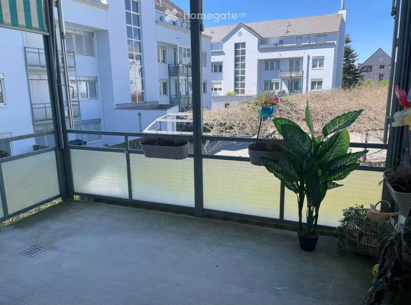 Balcony with metal railing, potted plants, and a view of neighboring buildings.