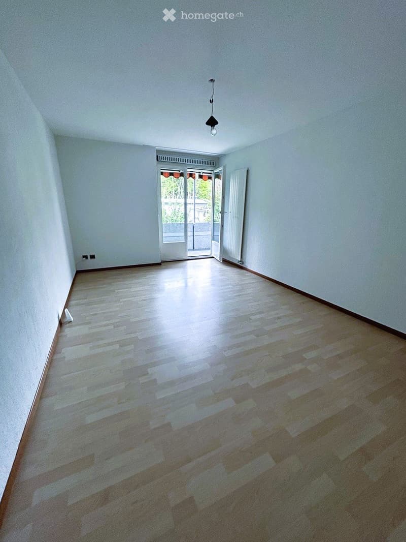 Empty room with light wooden flooring, white walls, and a large sliding glass door leading to a balcony or outdoor area.