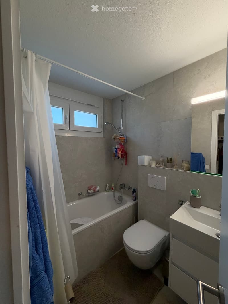 Modern bathroom with grey tiled walls, bathtub, toilet, sink, mirror, and shower curtain. Includes a towel, shower rack, and small items on the sink counter.