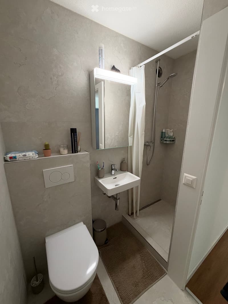 Modern bathroom with a toilet, sink, mirror, and walk-in shower. Includes a small shelf with toiletries, a cactus, and a trash bin.