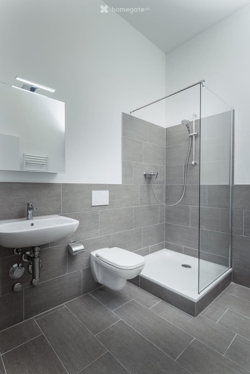 Modern bathroom with grey tiles, white sink, toilet, glass-enclosed shower, and a mirror above the sink.