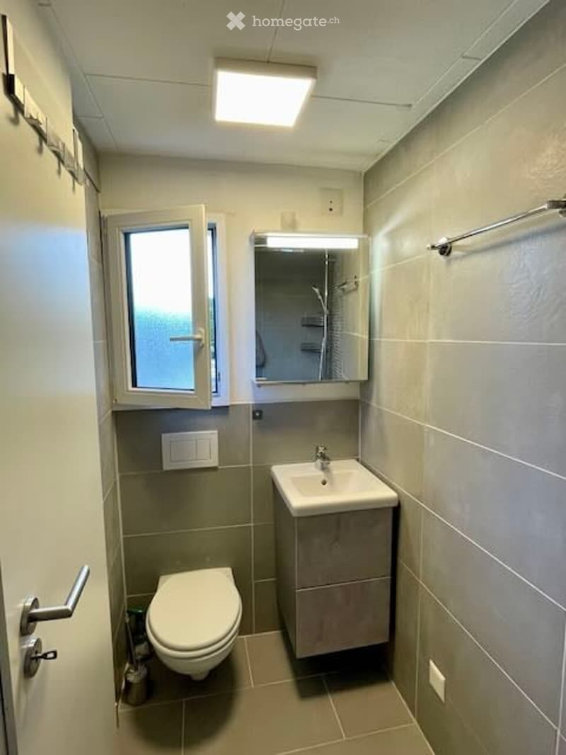 compact bathroom with a white toilet, sink, and mirror mounted on a wall above the sink, an open window, and a ceiling light