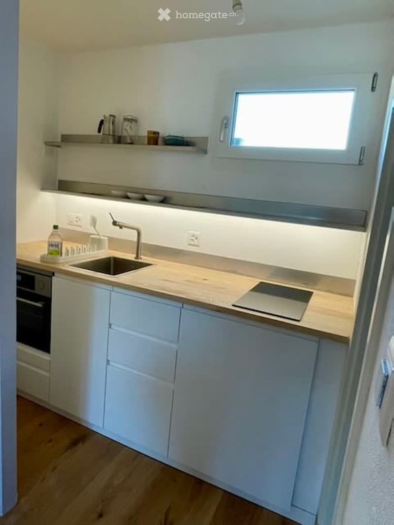 modern kitchen, wooden floor, white cabinets, double sink, dishwasher, dishwasher, modern appliances, electric outlets, light switch