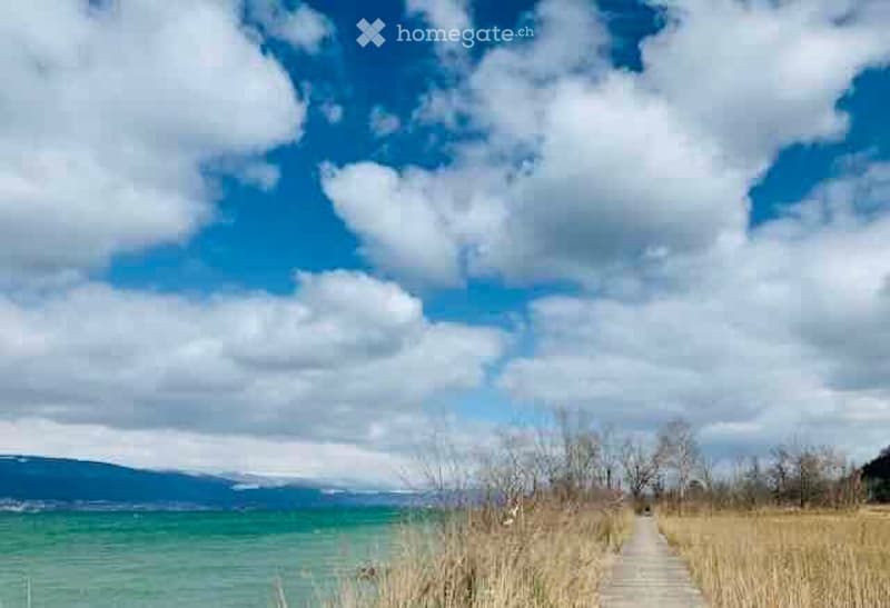 a water body with a walkway leading to grassy land with trees and a mountain range at a distance