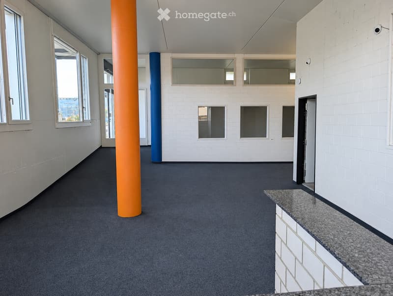 Empty hallway with white tiled walls, dark carpeted floor, large windows, and two colorful pillars (orange and blue).