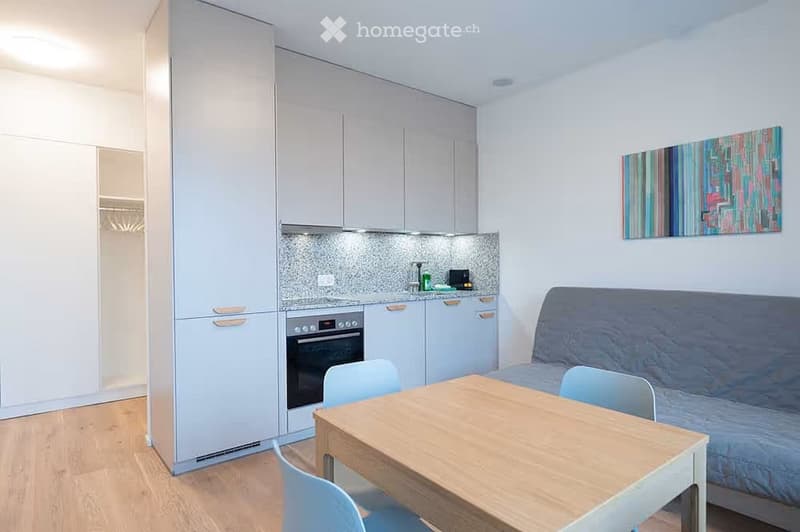 A modern, compact studio apartment with a sofa, small dining table, chairs, a kitchen area with an oven, cabinets, and a fridge. The room features light-colored walls, wooden flooring, and a colorful abstract painting on the wall.