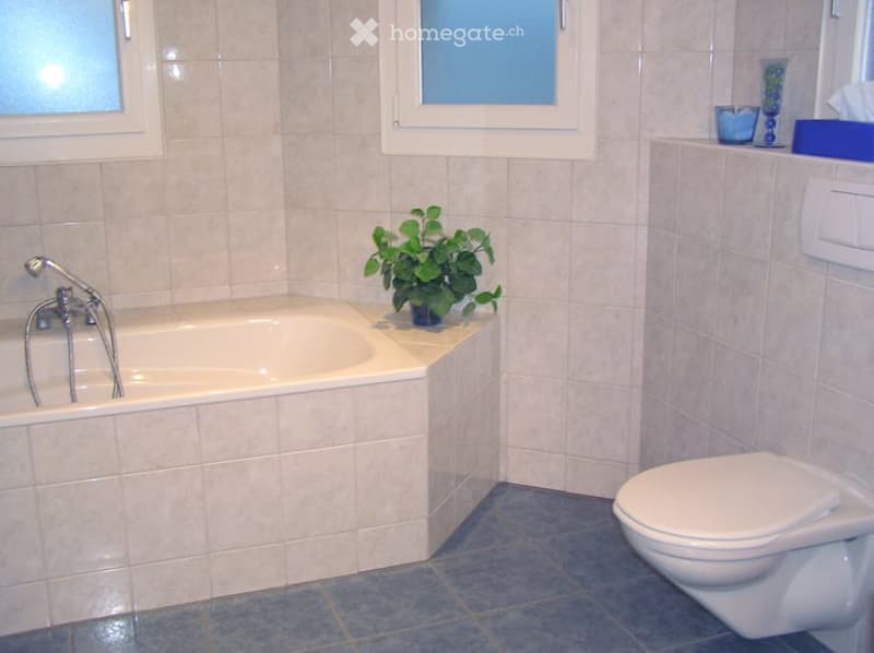 Bathroom with a bathtub, toilet, tiled walls, and a small plant on the edge of the tub. Windows provide natural light.