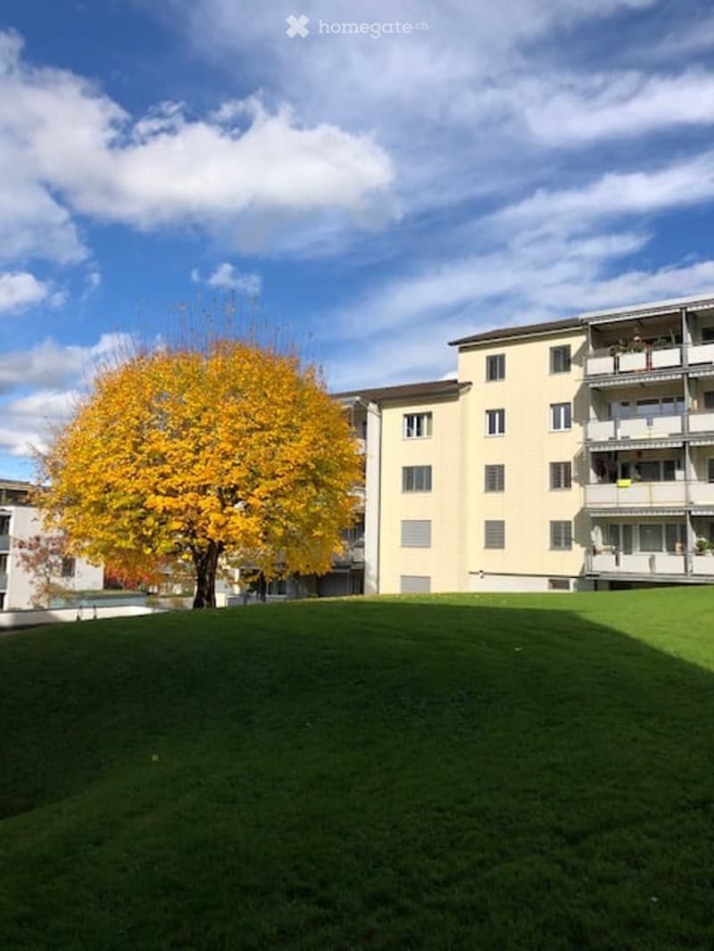 A well-maintained lawn with a large, vibrant yellow tree in the foreground, and a multi-story residential building with balconies in the background.