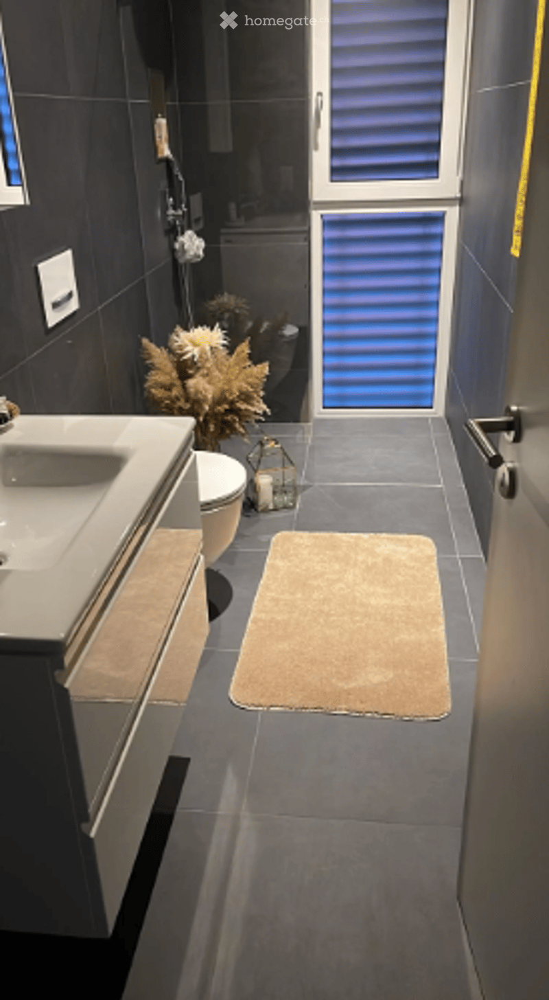 Modern bathroom with dark grey tiles, a white sink, toilet, shower, and a small decorative rug on the floor.