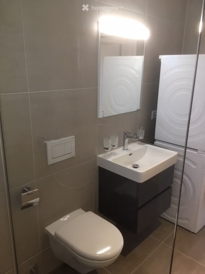 Modern bathroom with a white toilet, sink with a sleek faucet, a large mirror above the sink, and a dark wooden cabinet beneath. The walls are tiled in neutral tones.