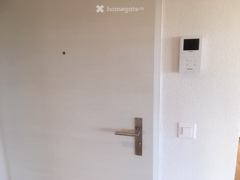 A white door with a silver handle is shown next to a wall-mounted intercom system and a light switch.