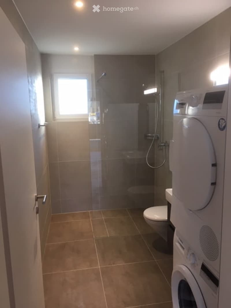 Modern bathroom with a glass-enclosed shower, toilet, and a private washing machine. The space features tiled floors and walls, with a small window providing natural light.