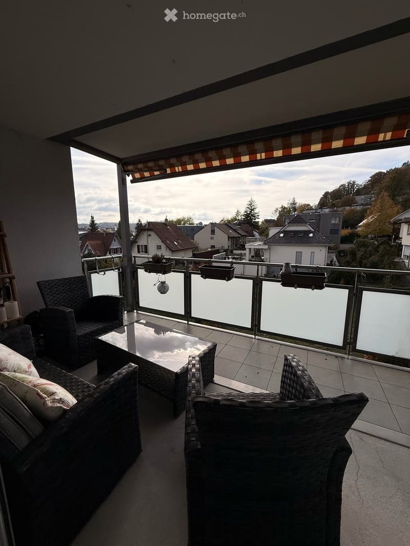 3,5 Zi Wohnung in Stadtnähe (5)