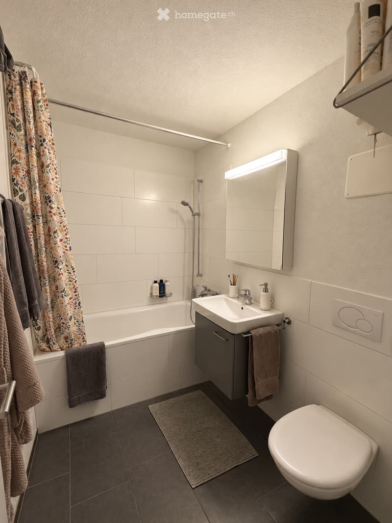 Modern bathroom with a bathtub, sink, toilet, mirror, and towel rack. Features a shower curtain, a small rug, and a cabinet under the sink.