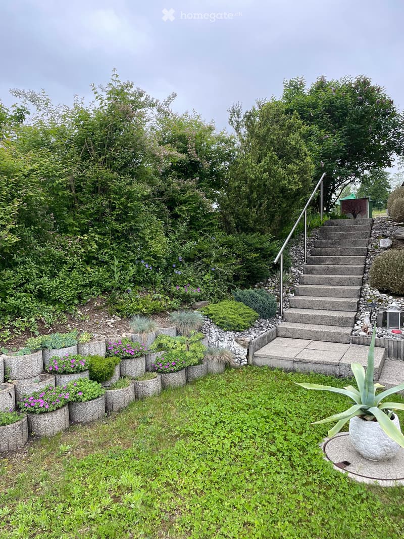 Well-maintained garden with various plants, shrubs, and flowers in stone planters, featuring a stone staircase leading up to a higher level.