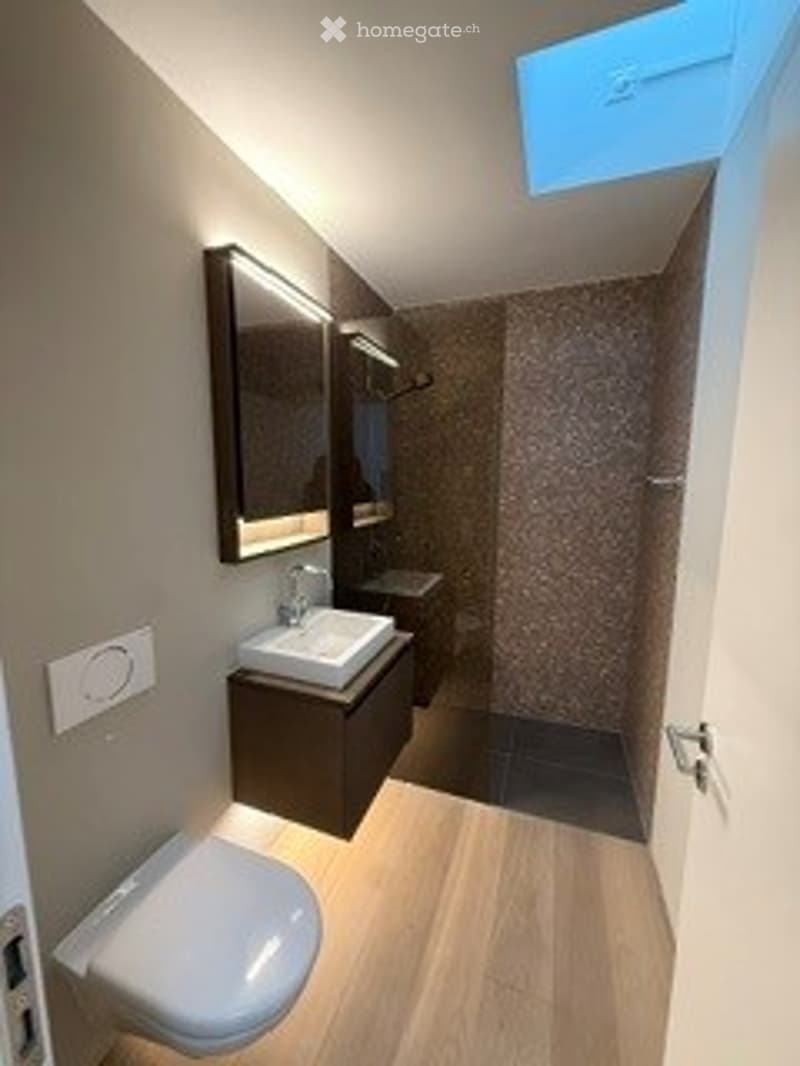 Modern bathroom with a white toilet, dark wooden vanity, sink, mirror, and a glass-enclosed shower area.