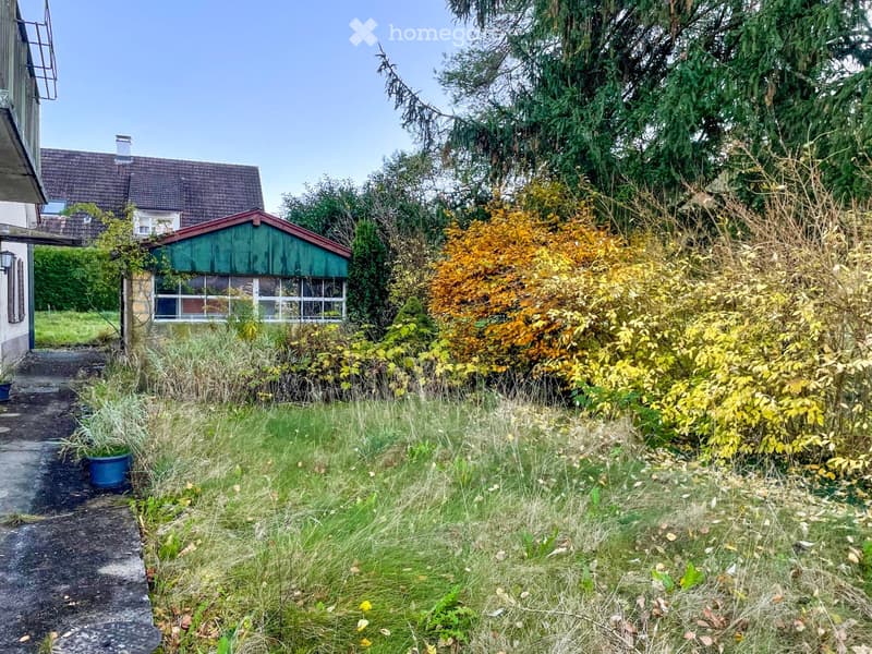front garden with grass, concrete pathway, greenery, trees, small blue pot with plant