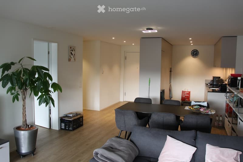 Open-plan living and dining area with a grey sofa, dining table with chairs, kitchen counter, and a potted plant. The space features wooden flooring and modern lighting.