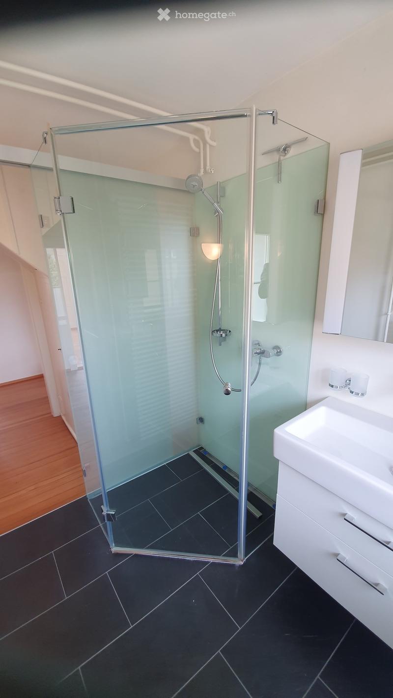 Modern bathroom with a glass-enclosed shower, black tiled floor, white sink, and mirror.
