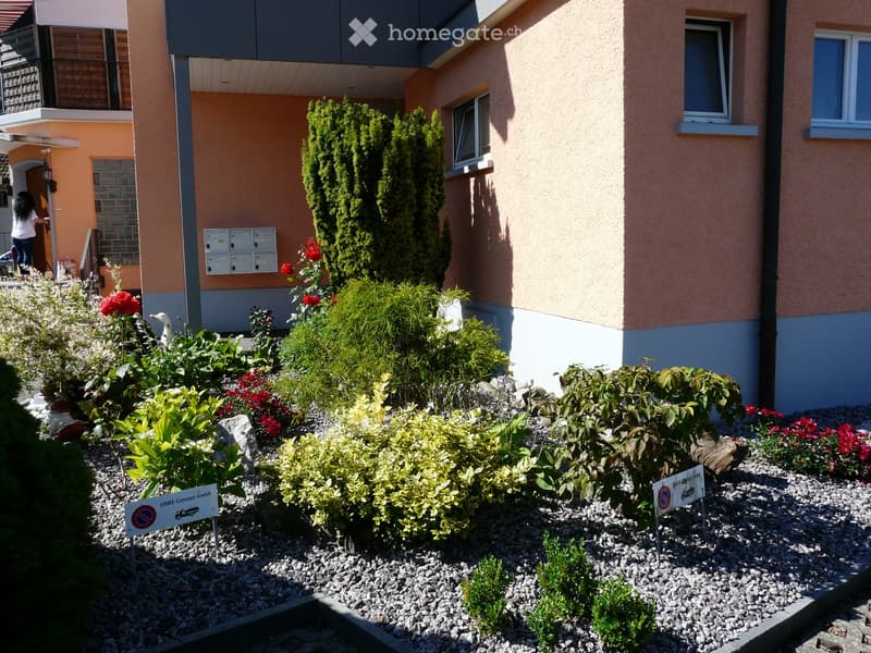 Well-maintained garden area with various shrubs, flowers, and a gravel pathway in front of a multi-story residential building.