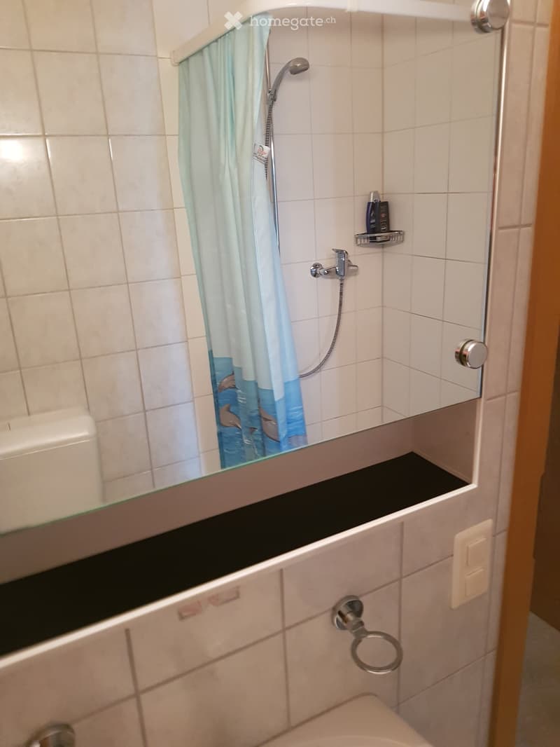Modern bathroom with white tiled walls, a toilet, a shower with a curtain, a mirror, and a towel rack.