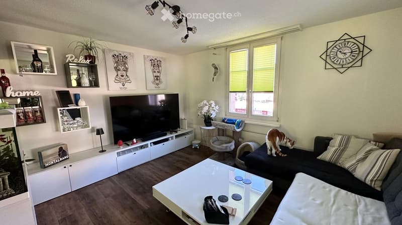 Modern living room with a large flat-screen TV, a white coffee table, a dark sectional sofa, a cat tree, and decorative wall shelves. The room features wooden flooring, large windows, and a stylish clock on the wall.