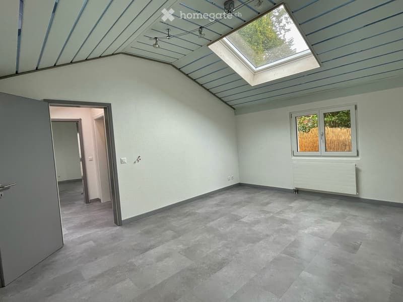 Skylight, gray floor, white walls, wooden door, glass window with wooden blind, power outlet, white radiator