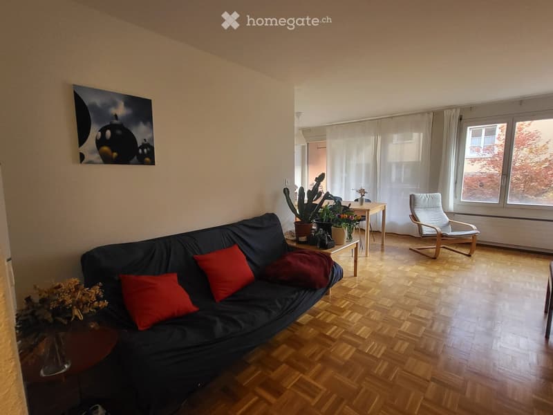 Living room with wooden flooring, a dark blue sofa with red cushions, a coffee table with potted plants, a small table with a vase, and a white chair near the window.