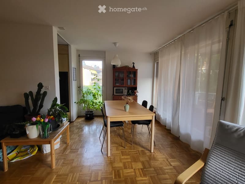 Bright living and dining area with wooden flooring, large windows, and white curtains. Features a dining table with chairs, a sofa, a cabinet with a microwave, and several potted plants.