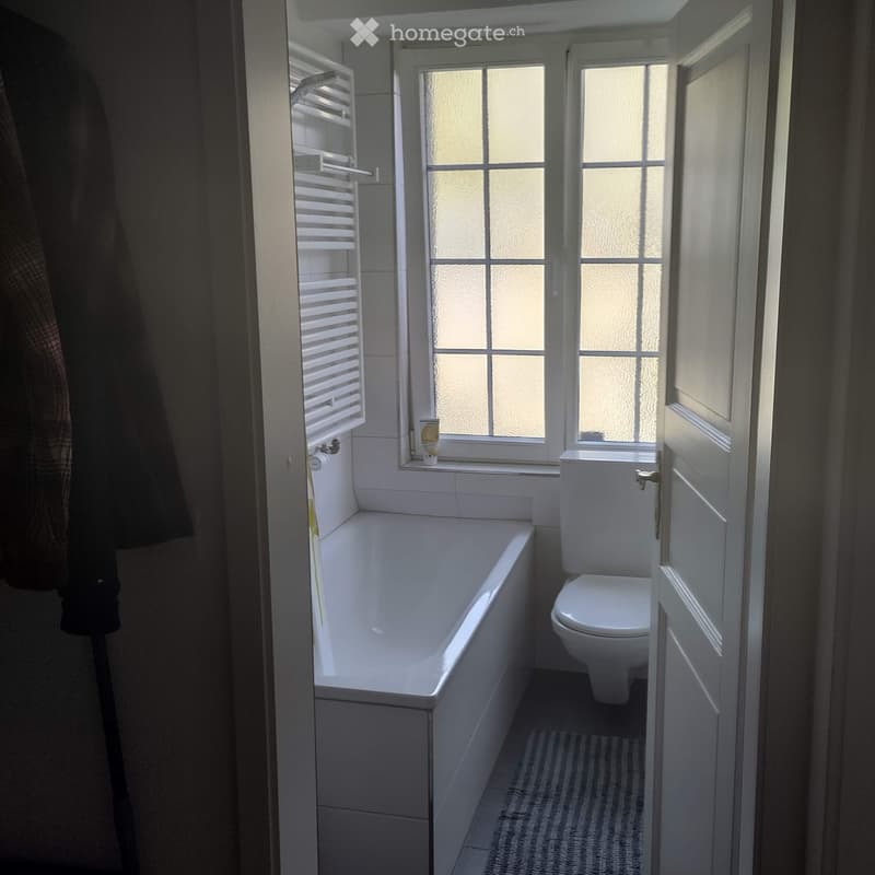Bathroom with a white bathtub, toilet, towel rack, and a small rug on the floor. The room has frosted glass windows and a coat hanging on the left side.