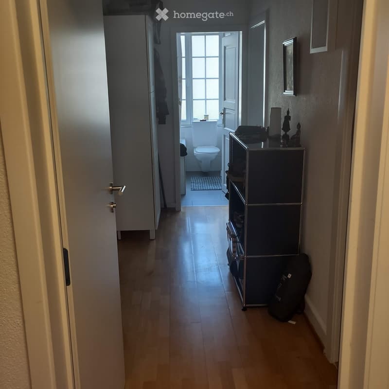 A narrow hallway with wooden flooring, leading to a bathroom. The hallway has a door on the left and a small cabinet with items on the right. The bathroom visible at the end has a toilet, a small rug, and a window.