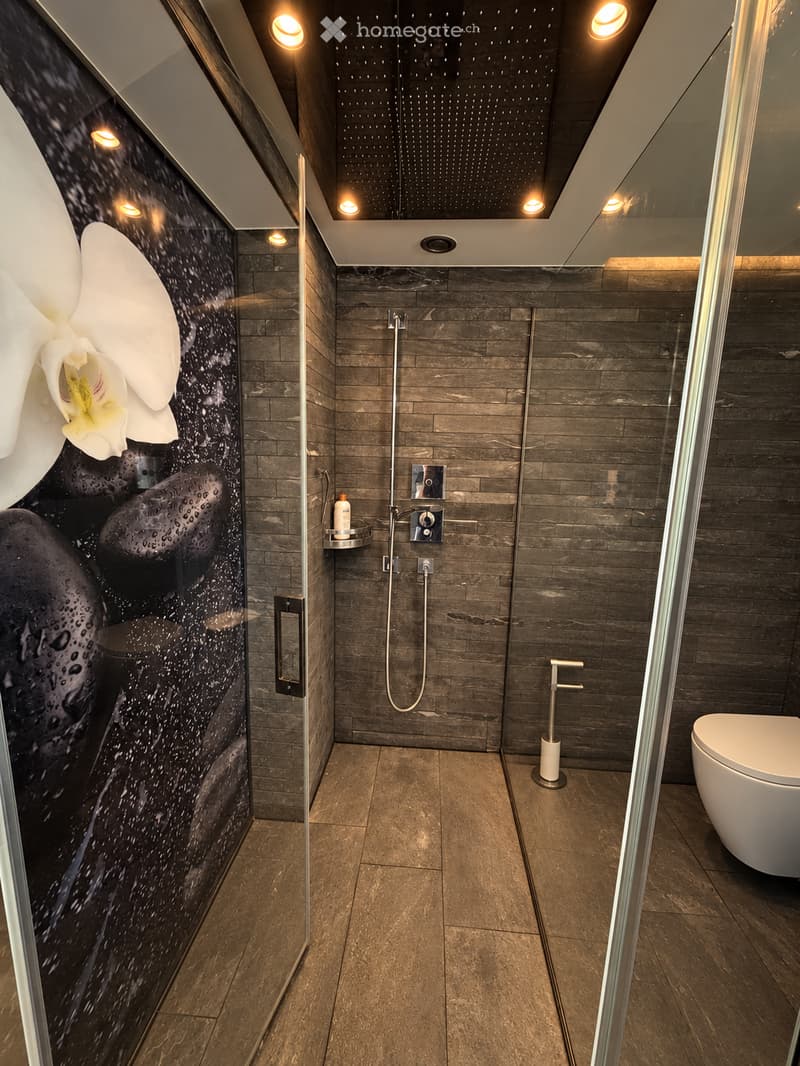 Modern bathroom with dark grey tiles, a glass-enclosed shower area, a sleek white toilet, and a shower shelf holding a bottle of shampoo. The shower features a handheld sprayer and a fixed overhead showerhead.