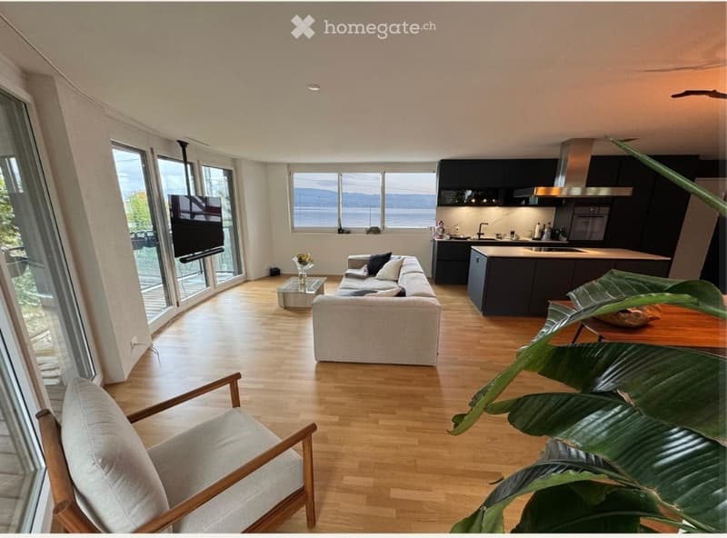 {"type": "Furnished Room", "objects": ["sofa", "coffee table", "chair", "table", "kitchen cabinets", "kitchen sink", "faucet", "faucet", "faucet", "faucet", "faucet", "faucet", "faucet", "faucet", "faucet", "faucet", "faucet", "faucet", "faucet", "faucet"