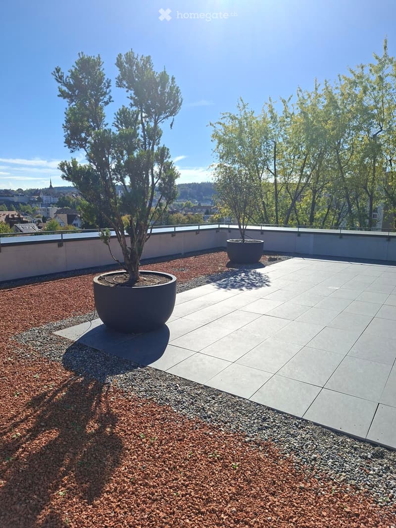 A modern rooftop terrace with large square tiles, potted trees, and a low wall with a railing, surrounded by gravel and rocks.
