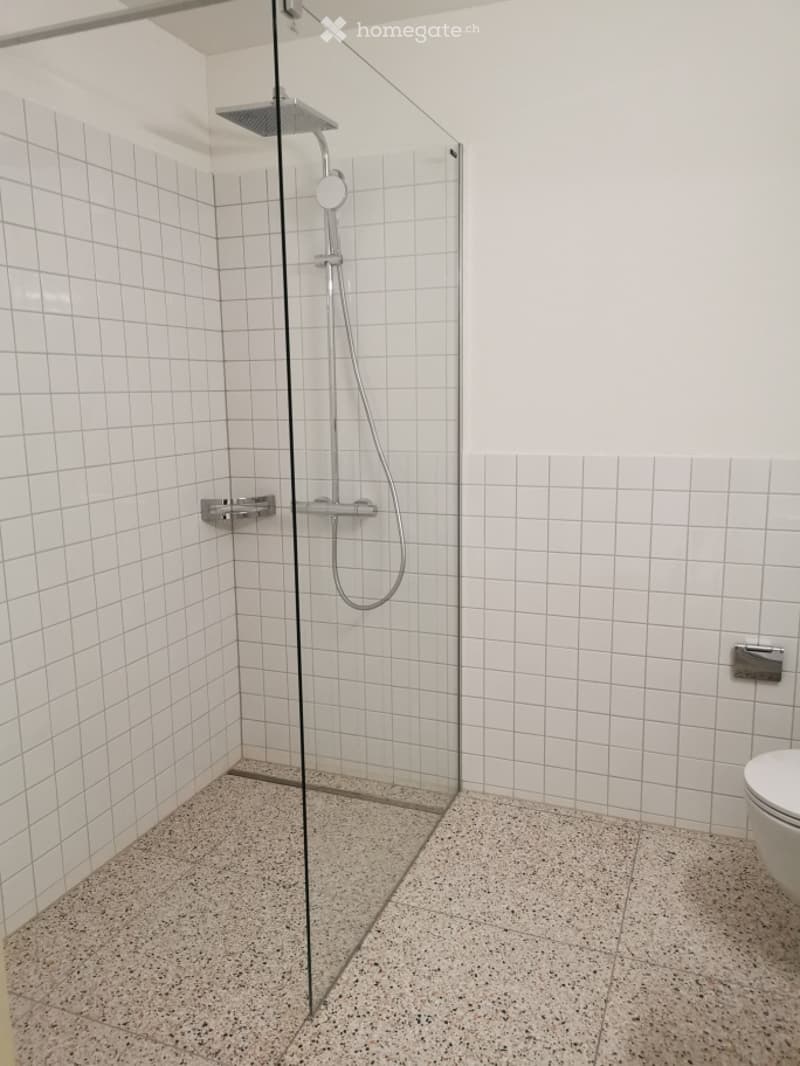 Modern bathroom with white tiled walls, a glass-enclosed shower, a toilet, and a sleek showerhead.