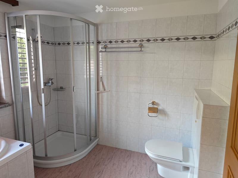 Modern bathroom with a walk-in shower, toilet, sink, and towel rack. The shower has a glass enclosure and a built-in shelf. The walls are tiled with a decorative border, and the floor is tiled in a light color.