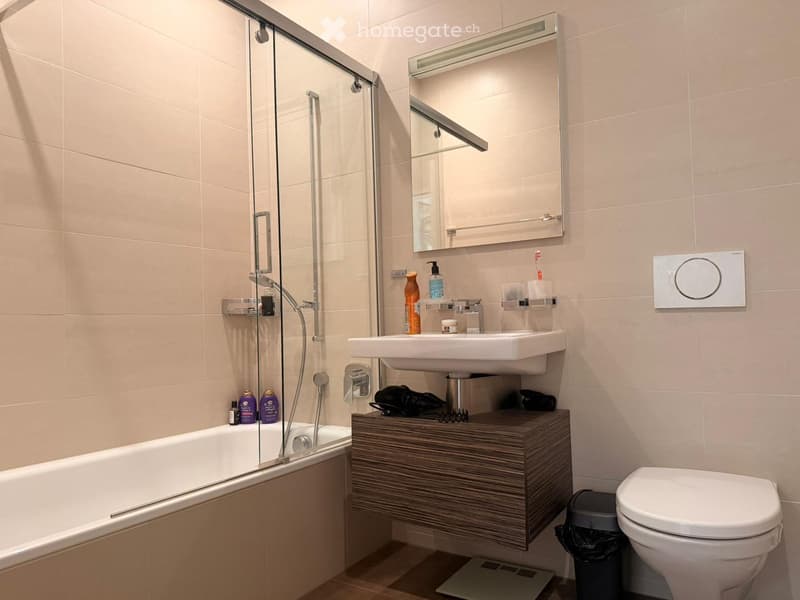 Modern bathroom with a bathtub, sink, toilet, mirror, and vanity cabinet. Includes toiletries and a shower area with glass enclosure.