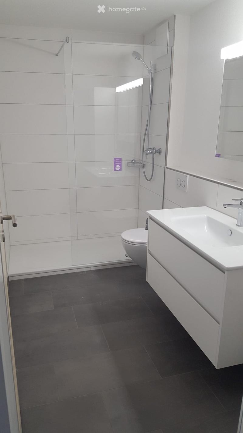 Modern bathroom with white tiles, dark grey floor, toilet, sink, and glass-enclosed shower area.