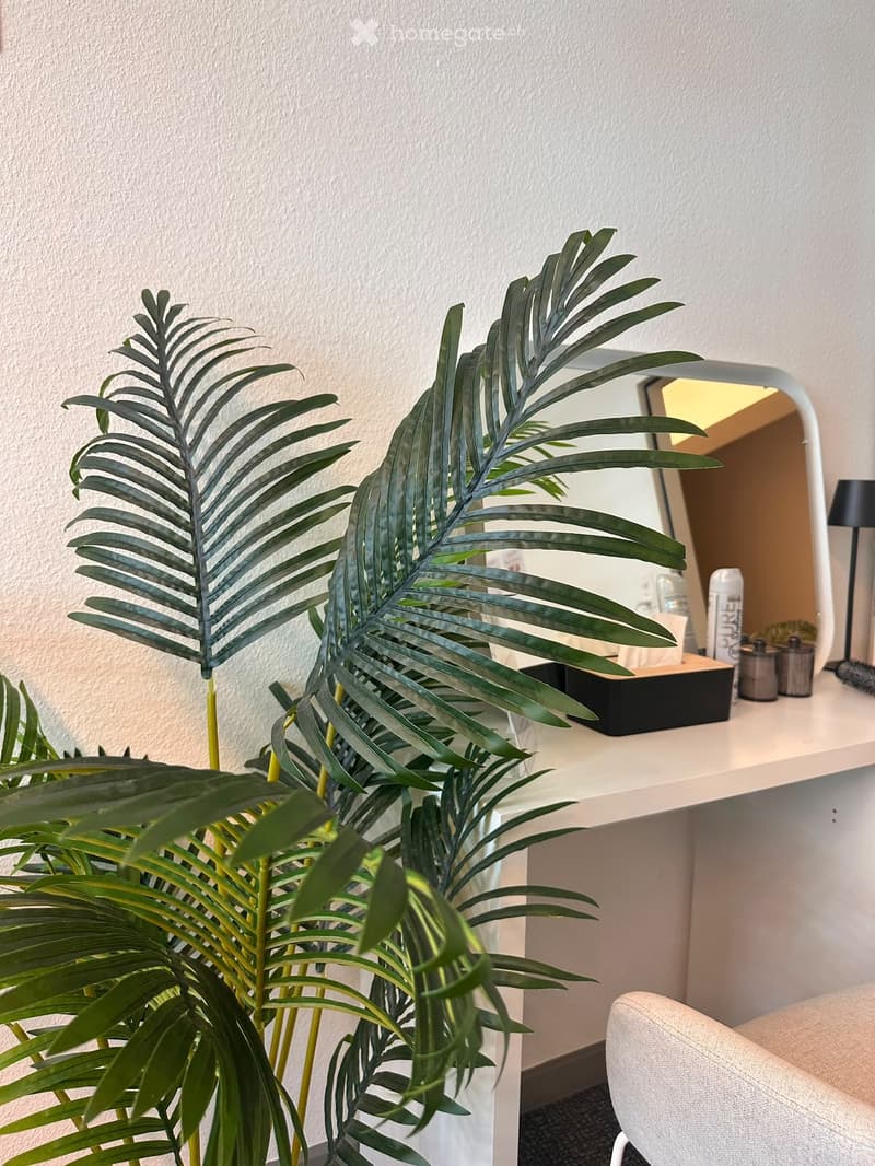 A modern, well-lit room with a white table, a mirror, a lamp, and a large leafy plant in the foreground.