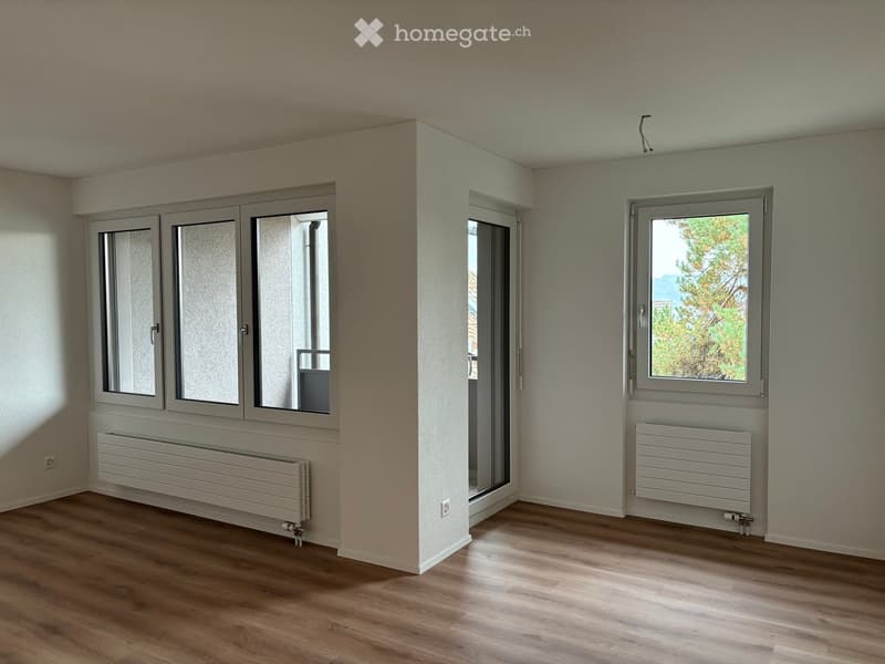 Empty room with wooden flooring, light-colored walls, and large windows with frosted glass panels. Radiators are installed below the windows.