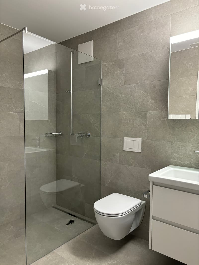 Modern bathroom with grey tiled walls and floor, featuring a white toilet, a sink with a mirrored cabinet, and a glass-enclosed shower area.