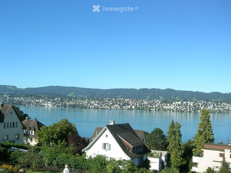 Scenic view of a lakeside town with multiple houses, lush greenery, and a distant mountain range.