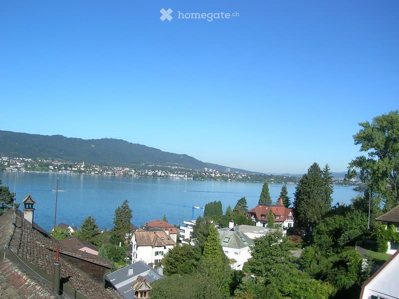 A scenic view of a lakeside town with houses, trees, and a distant mountain range under a clear blue sky.
