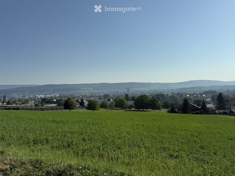 A wide, open green field with scattered trees and a distant cityscape under a clear blue sky.