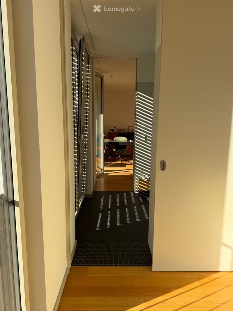 A modern hallway with light-colored walls, wooden flooring, and a black tiled section leading to an adjacent room. The hallway features large windows with vertical blinds, allowing natural light to filter in.