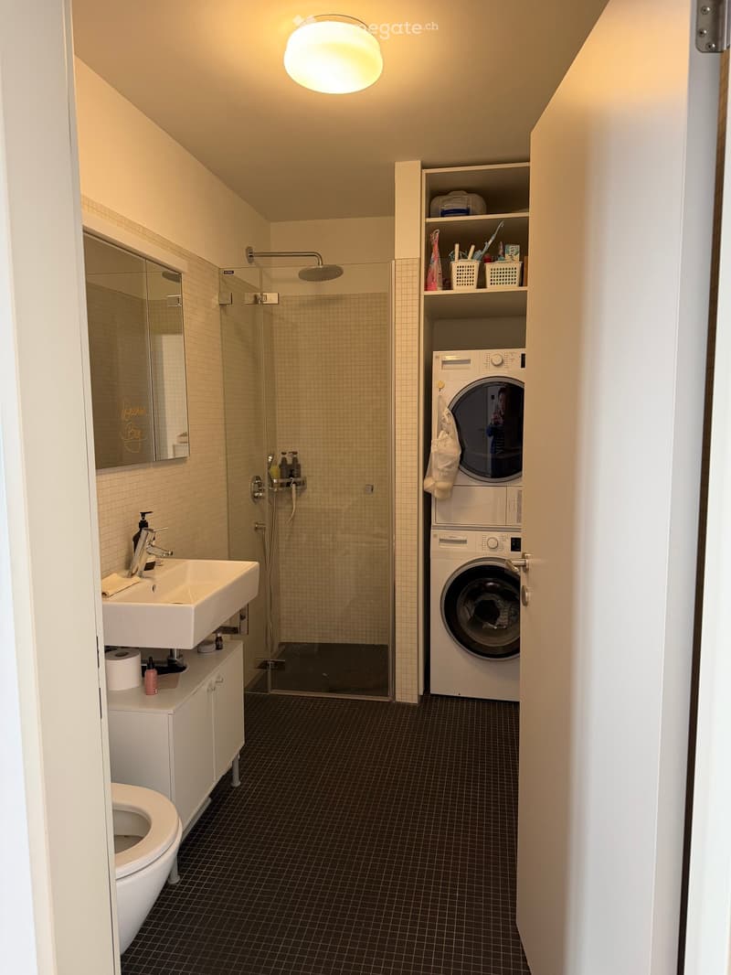 Modern bathroom with a white sink, toilet, mirror, and a glass-enclosed shower. A washing machine is positioned next to a small cabinet with shelves holding various toiletries.