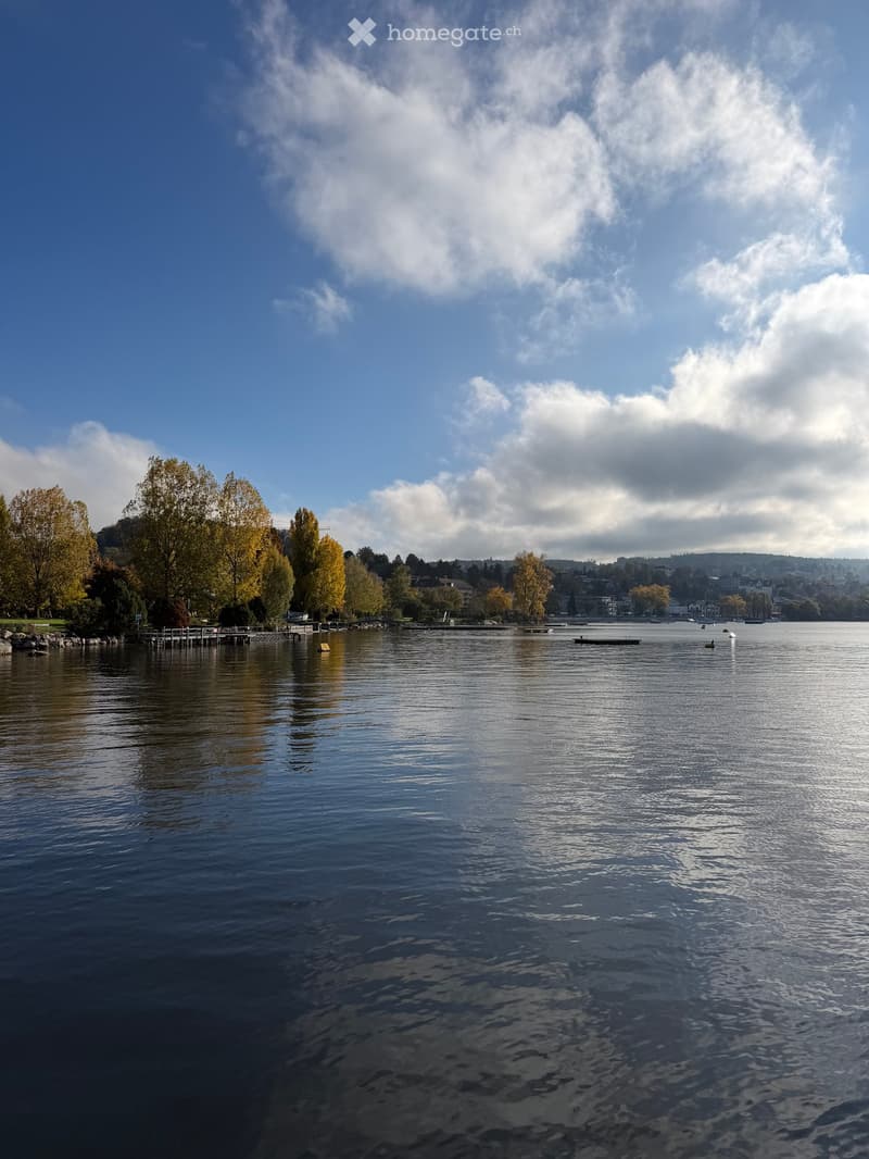 Convenient location in Kreis 8 around the lake (19)