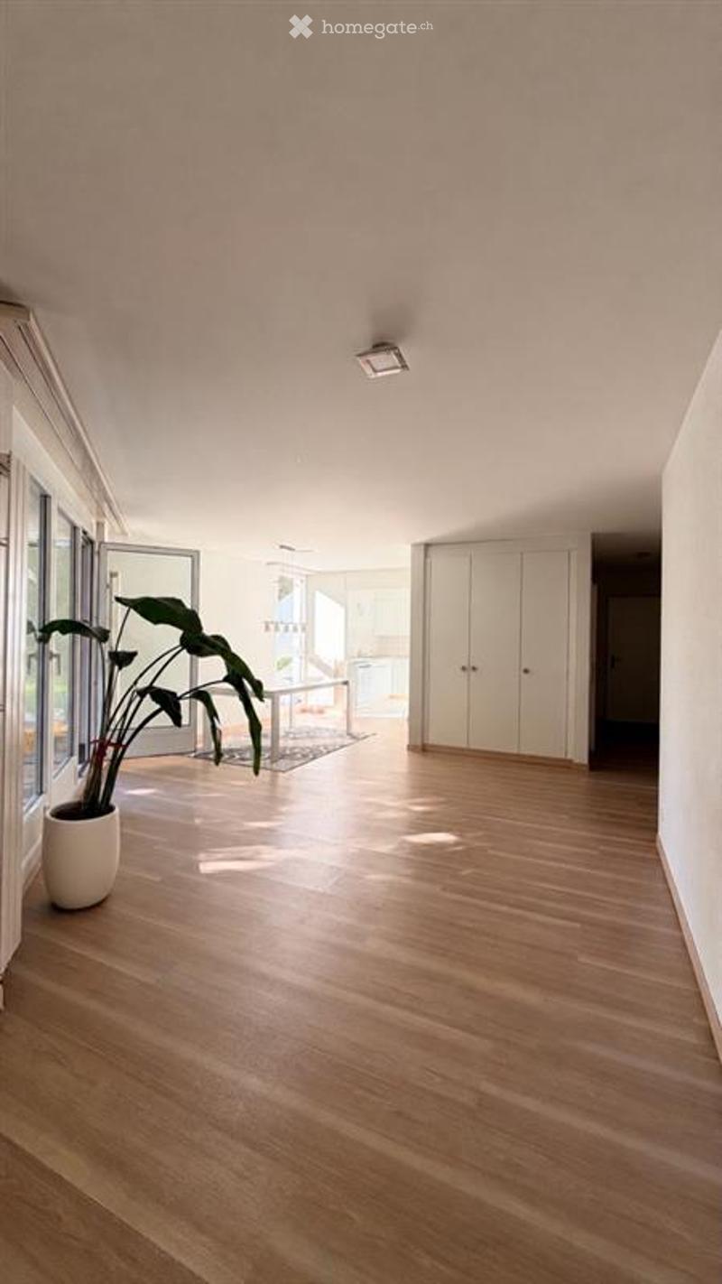 Empty room with wooden flooring, white walls, large windows, and a potted plant near the entrance.