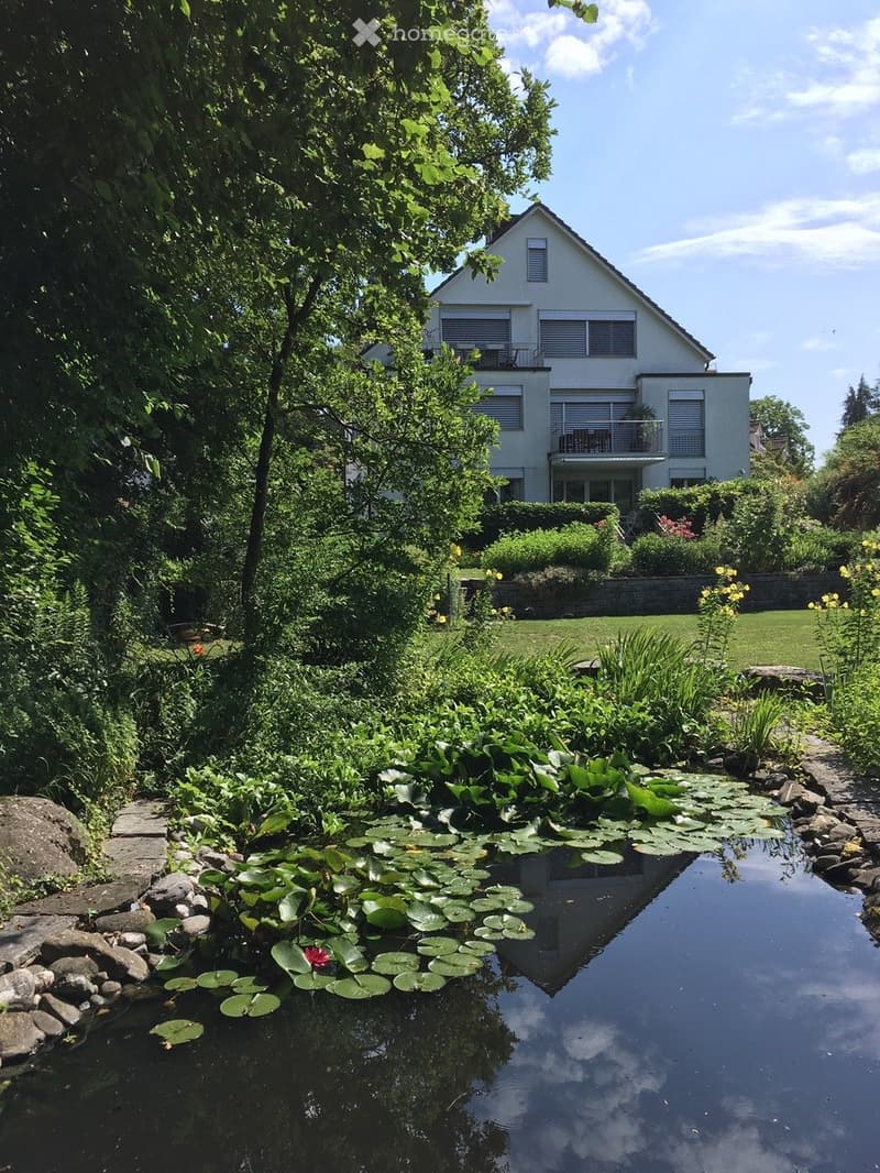 A serene garden with a pond featuring lily pads and a small flower, surrounded by lush greenery and a well-maintained lawn. A modern house with balconies is visible in the background.